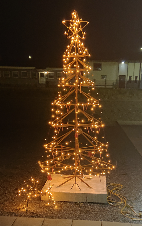 LEGALETT RAW Design julgran